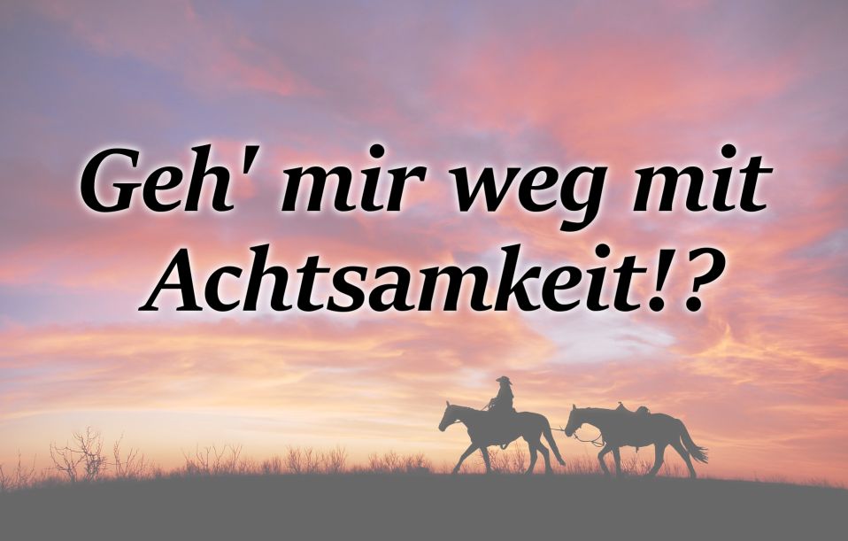 Geh mir weg mit Achtsamkeit!