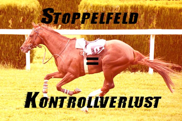 Stoppelfeld = Kontrollverlust