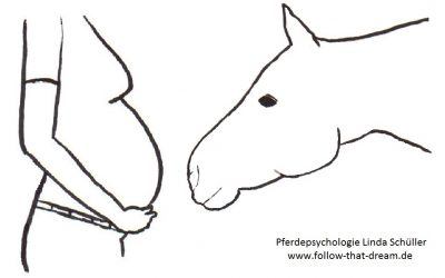 Umfrage Schwangerschaft & Pferd