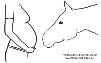 Umfrage Schwangerschaft & Pferd – Auswertung